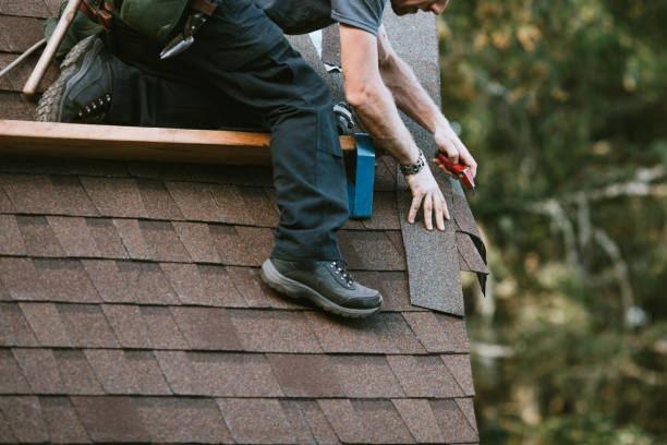 Best Roof Gutter Cleaning  in Glenvar Heights, FL